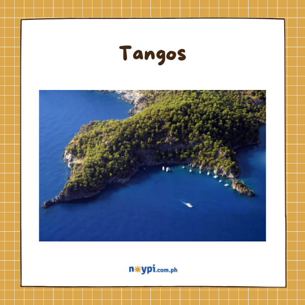 Anyong Lupa: Tangos